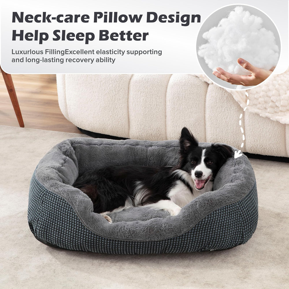 INVENHO low-entry design makes it easy for small or aging pets