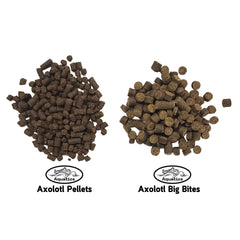 Invert Aquatics Big Bites pellets sinking action demonstrating daily feeding routine.