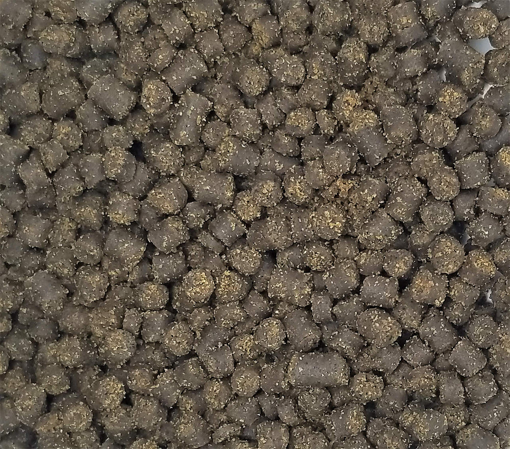 Invert Aquatics Frog Bites sinking pellets promote easy feeding for frogs and hatchlings