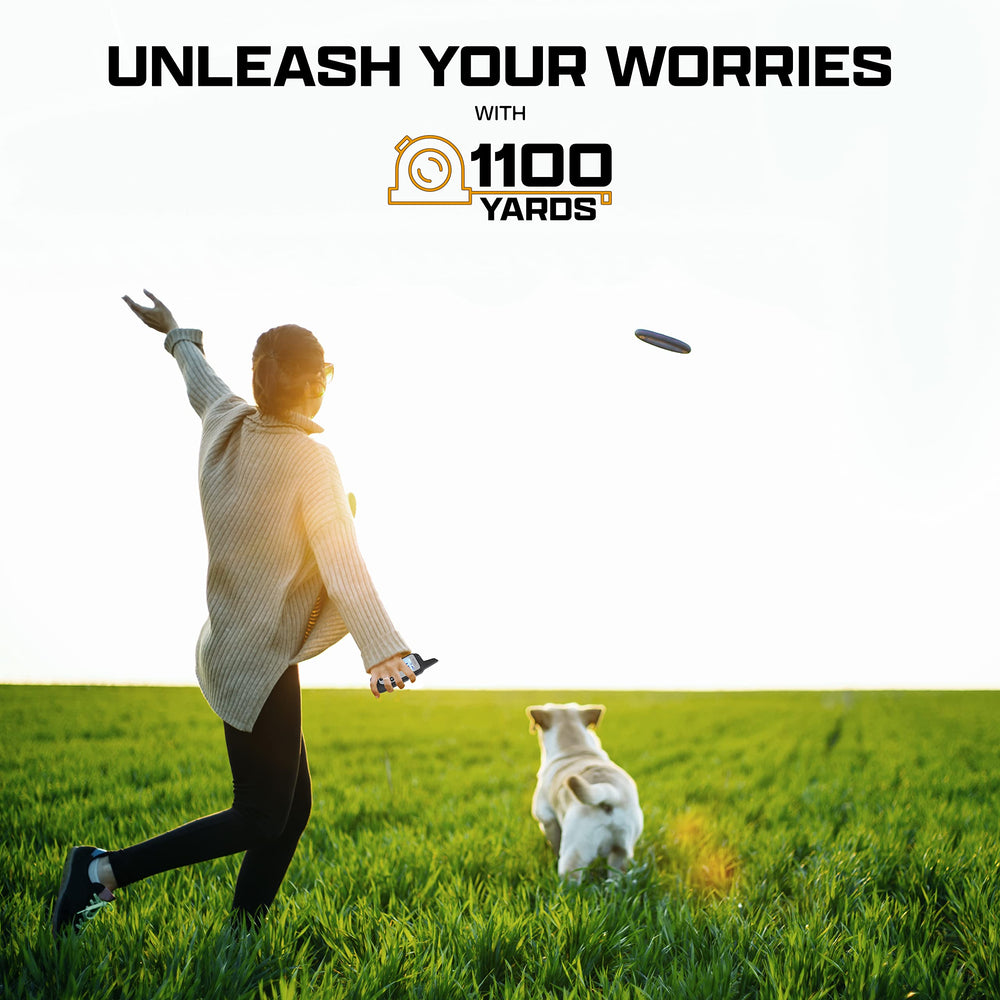 INVIROX manual bark control option supports calmer training sessions.