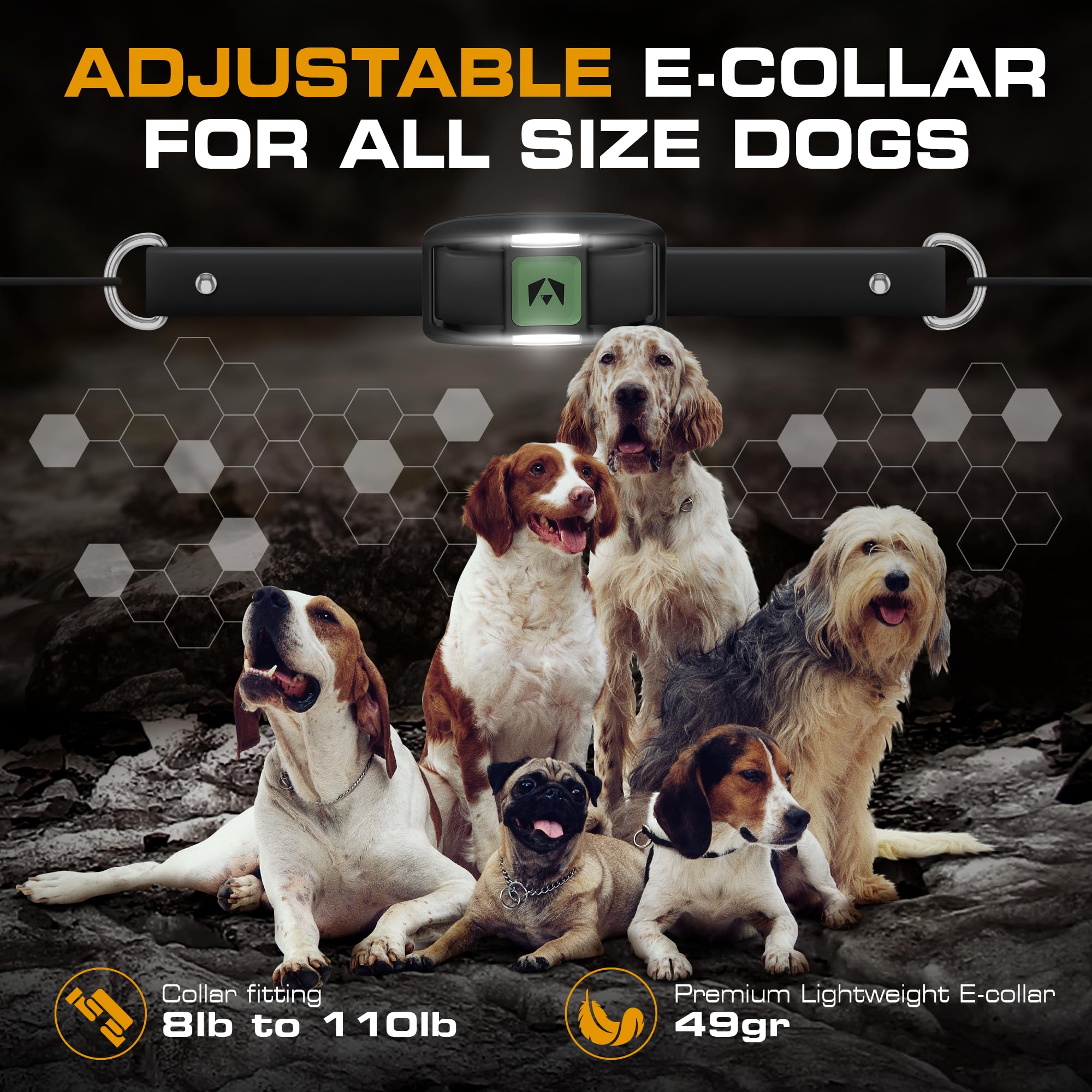 INVIROX large-breed training with versatile modes for stubborn dogs.