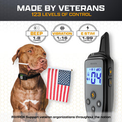 INVIROX remote control for tailored signals during training