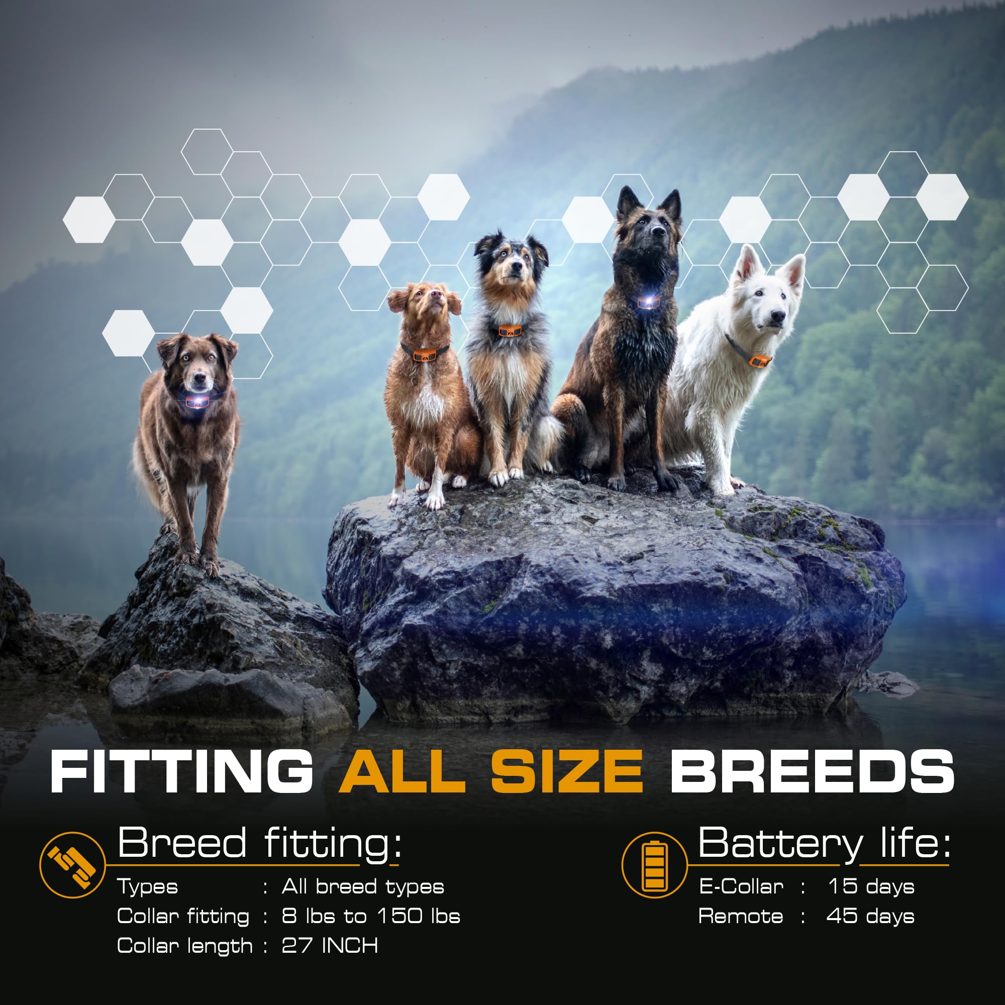 INVIROX three quarter mile range lets you train in open spaces