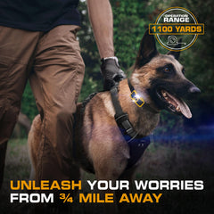INVIROX Ultra K9 waterproof collar demonstrates IP67 protection for rainy sessions