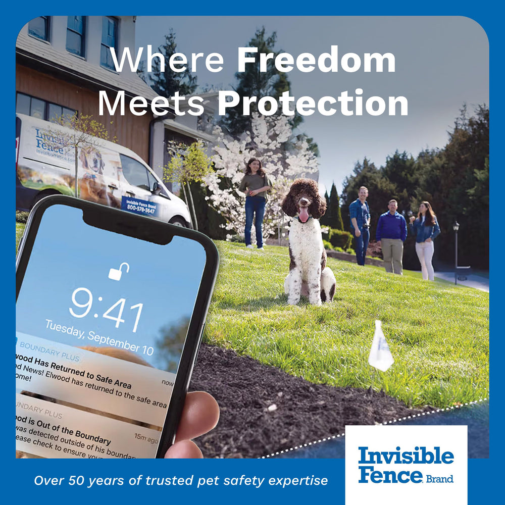 Long-lasting power ensures weeks of reliable pet boundary protection.