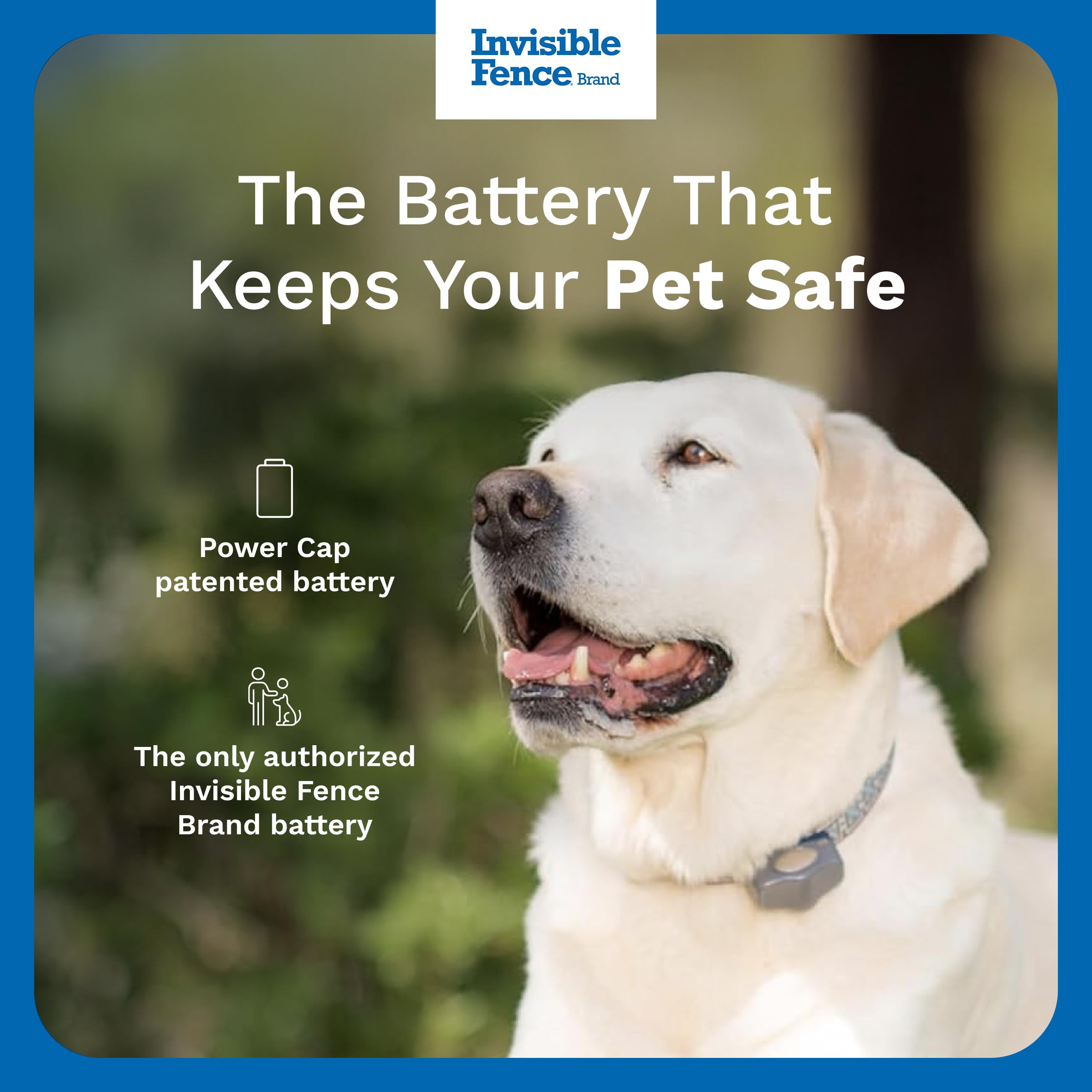 Invisible Fence Power Cap Battery mounted on a dog collar for continuous operation.