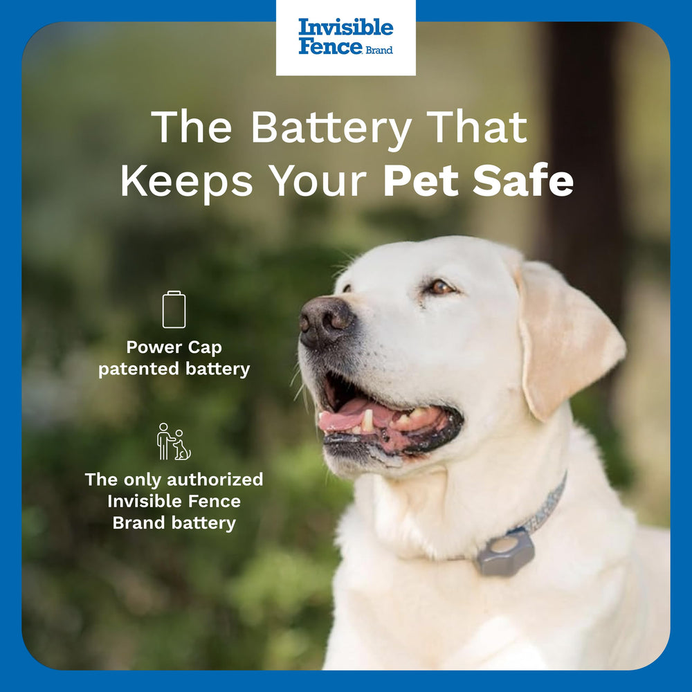 Invisible Fence Power Cap Battery mounted on a dog collar for continuous operation.