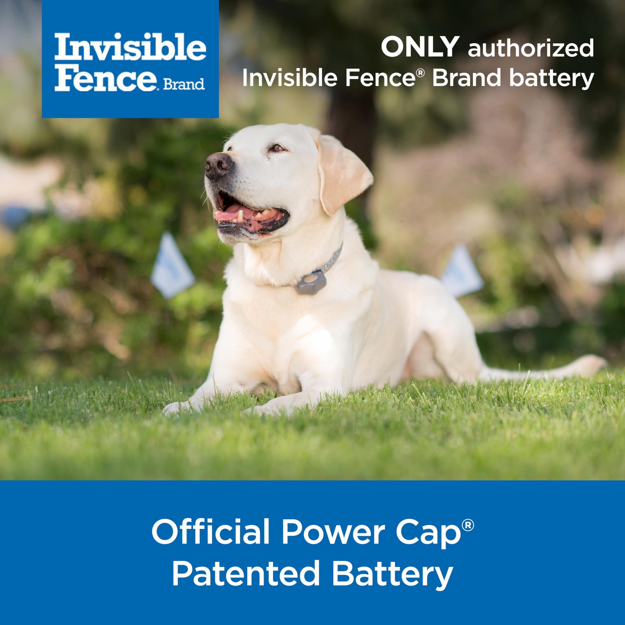 Invisible Fence Power Cap Battery in factory packaging, ready to replace.