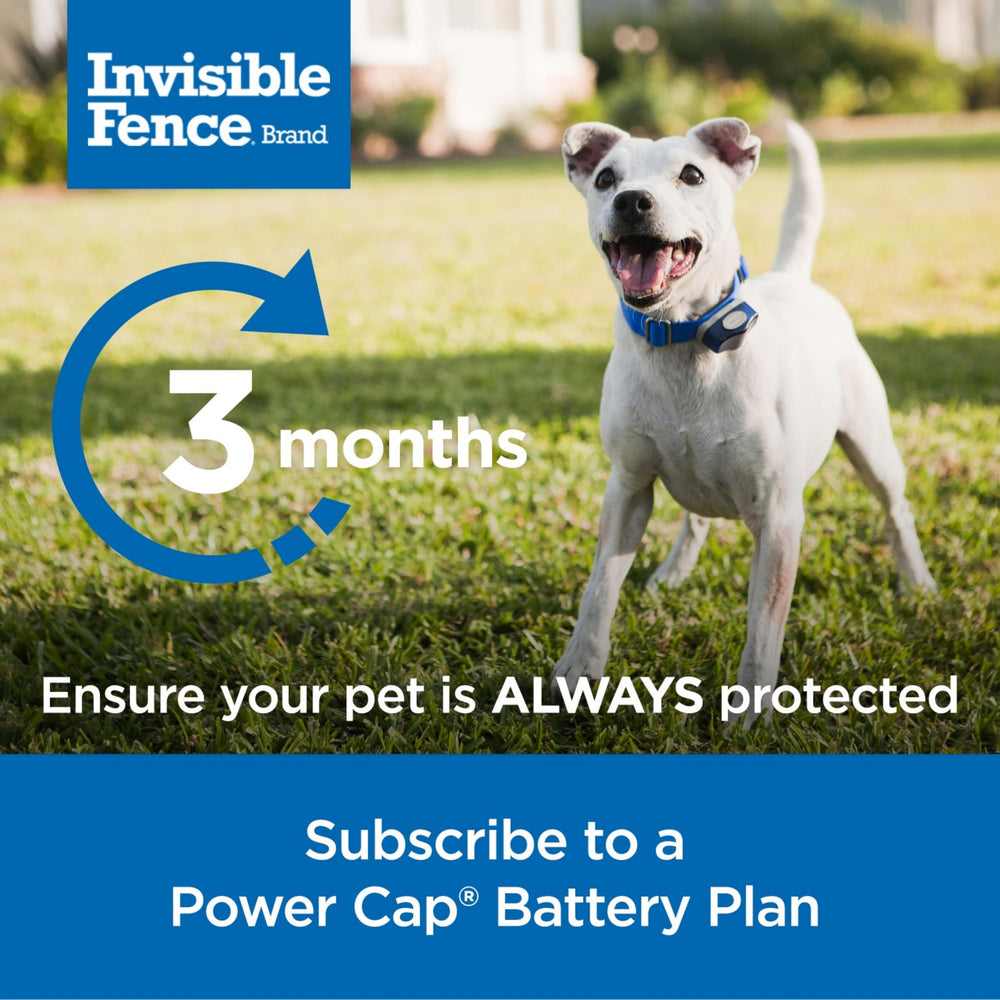 Invisible Fence Power Cap Battery screw-in detail showing easy installation.