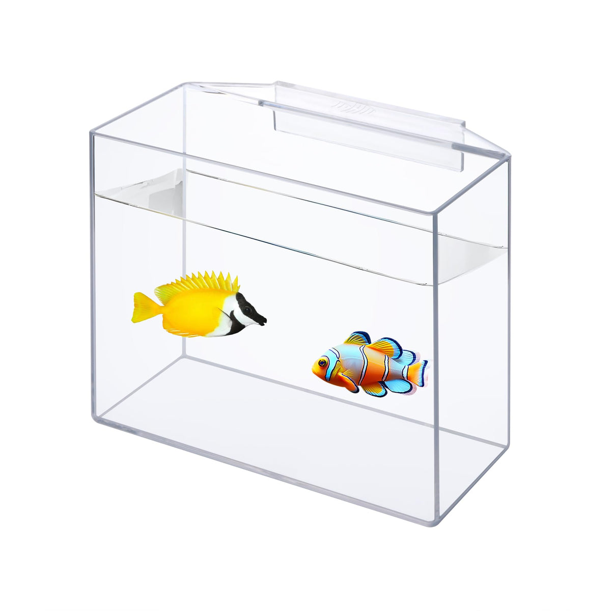 IOAOI drip acclimation container hanging box for fish and corals reduces stress during transfer