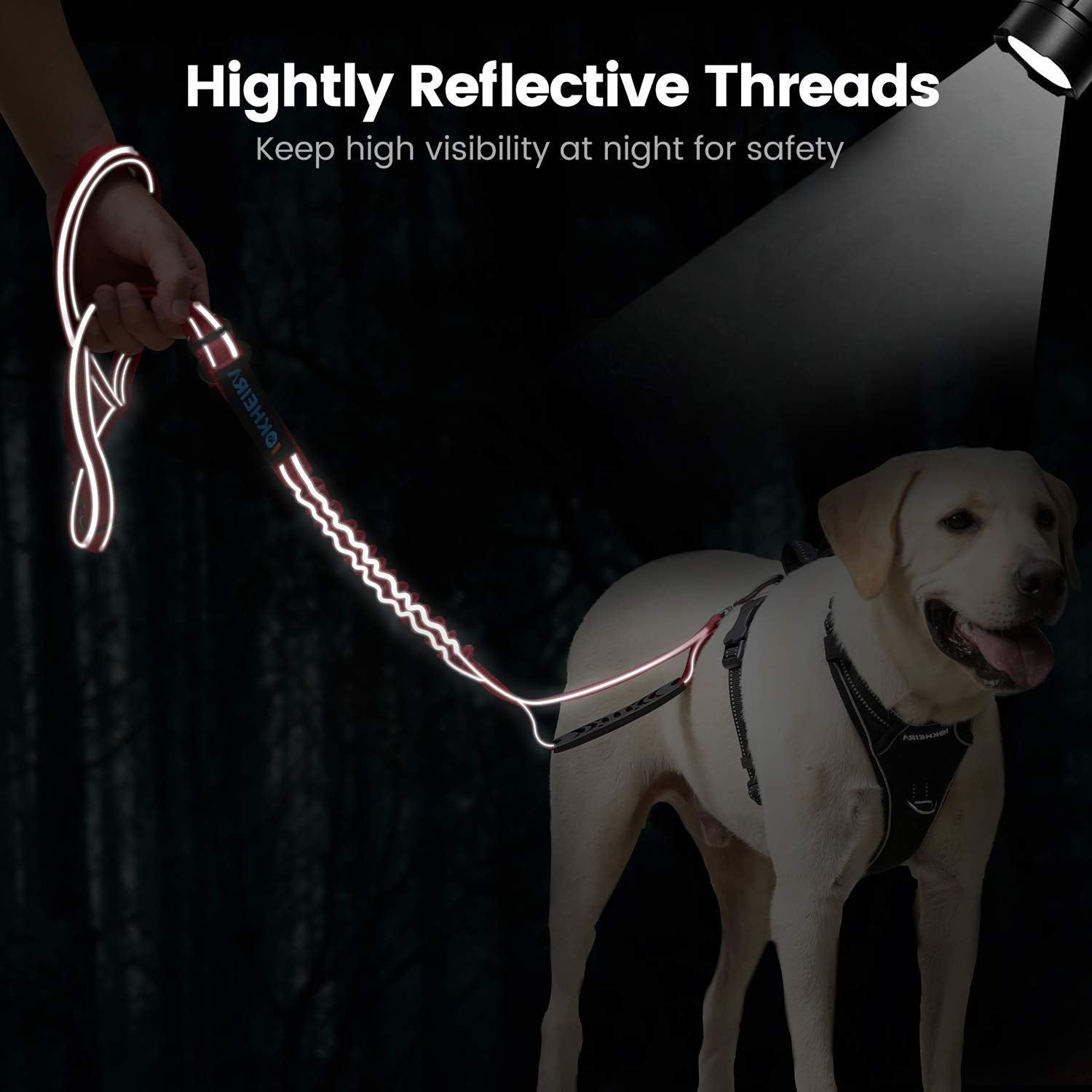 IOKHEIRA 360-degree rotating clasp prevents tangling while allowing freedom for the dog.