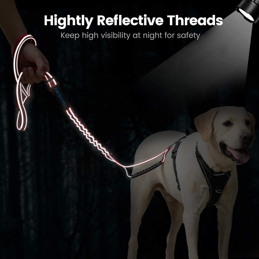 IOKHEIRA 360-degree rotating clasp prevents tangling while allowing freedom for the dog.