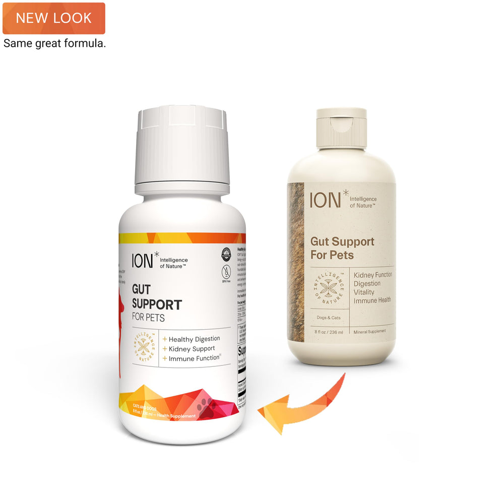 ION* Gut Support drops with dropper; easy dosing for pet digestion and vitality.