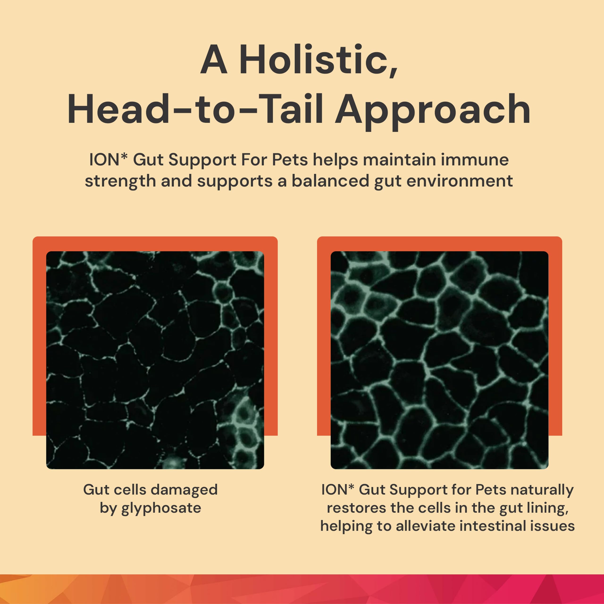 Humic extract ingredient shown in ION* Gut Support for vitality.