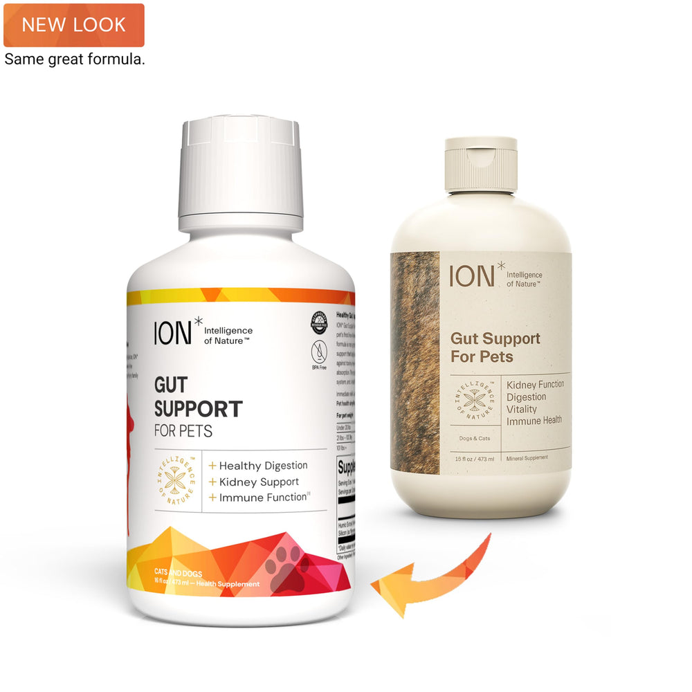 ION* Gut Support label close-up highlighting pet gut health formula