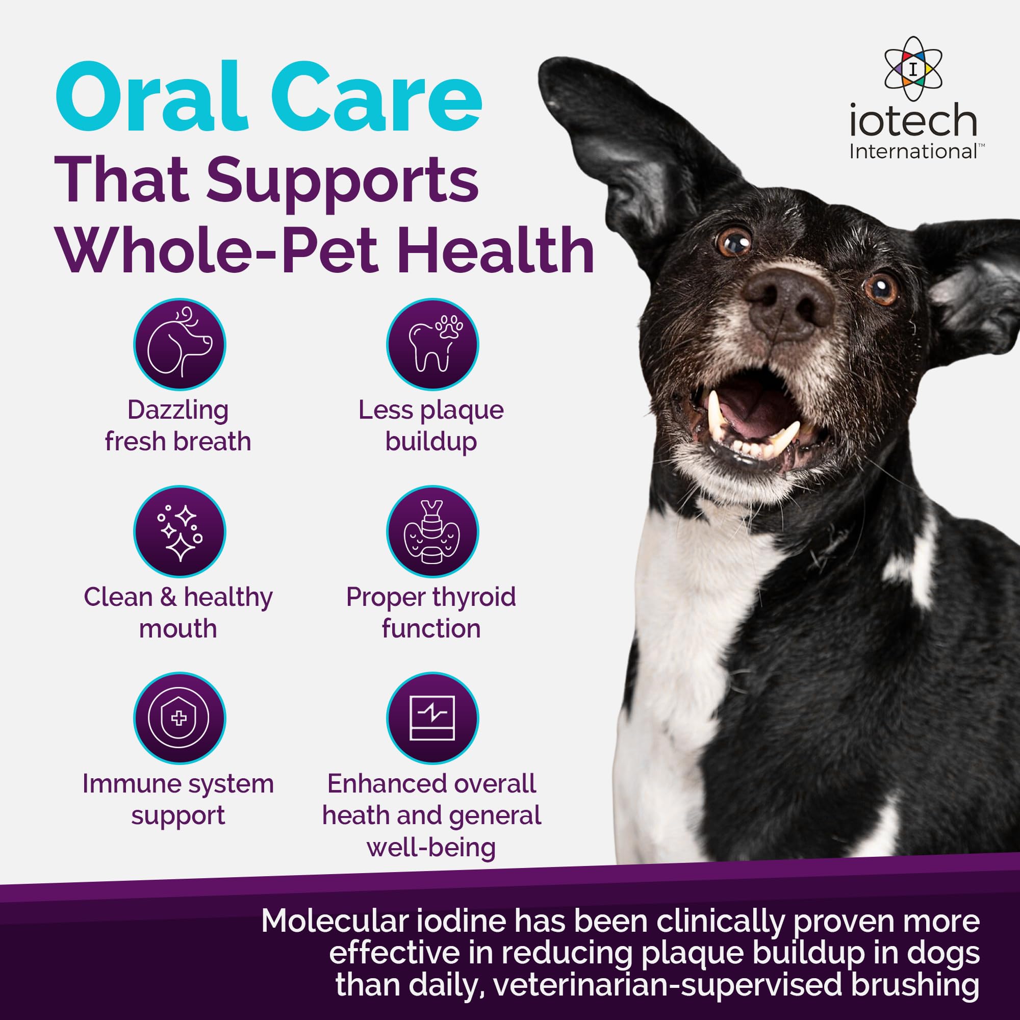 ioVet Oral packaging highlights simple instructions and product benefits.