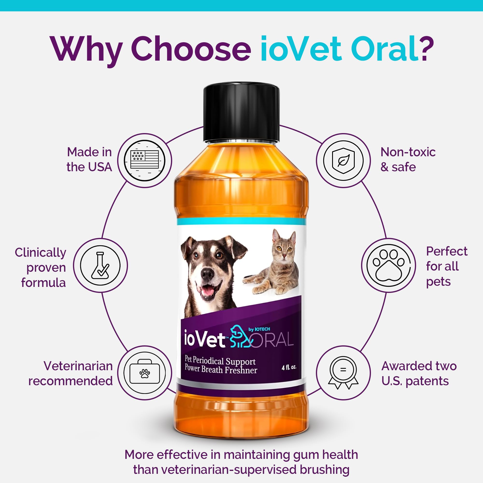ioVet Oral in a pet drinking bowl integrates into daily care routine.