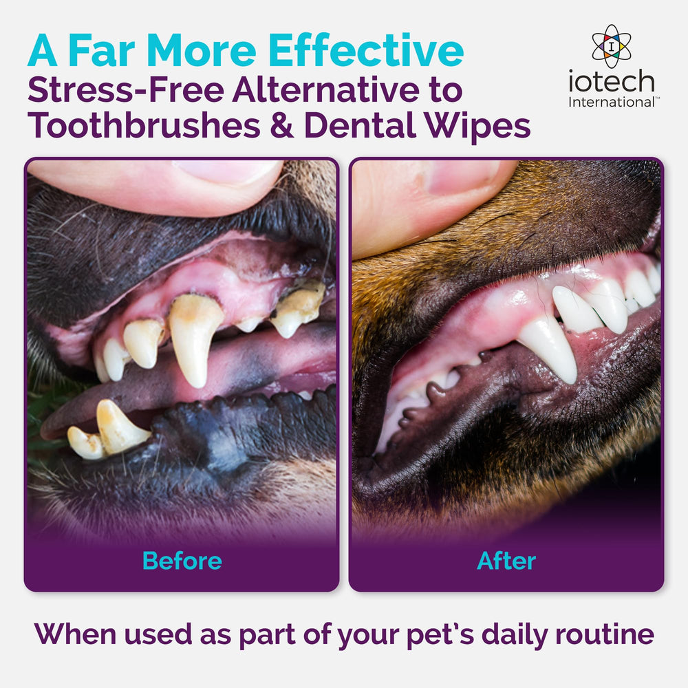 ioVet Oral promotes a refreshed mouth feel and pet confidence.