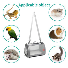ioview guinea pig carrier transparent mesh for airflow and visibility.