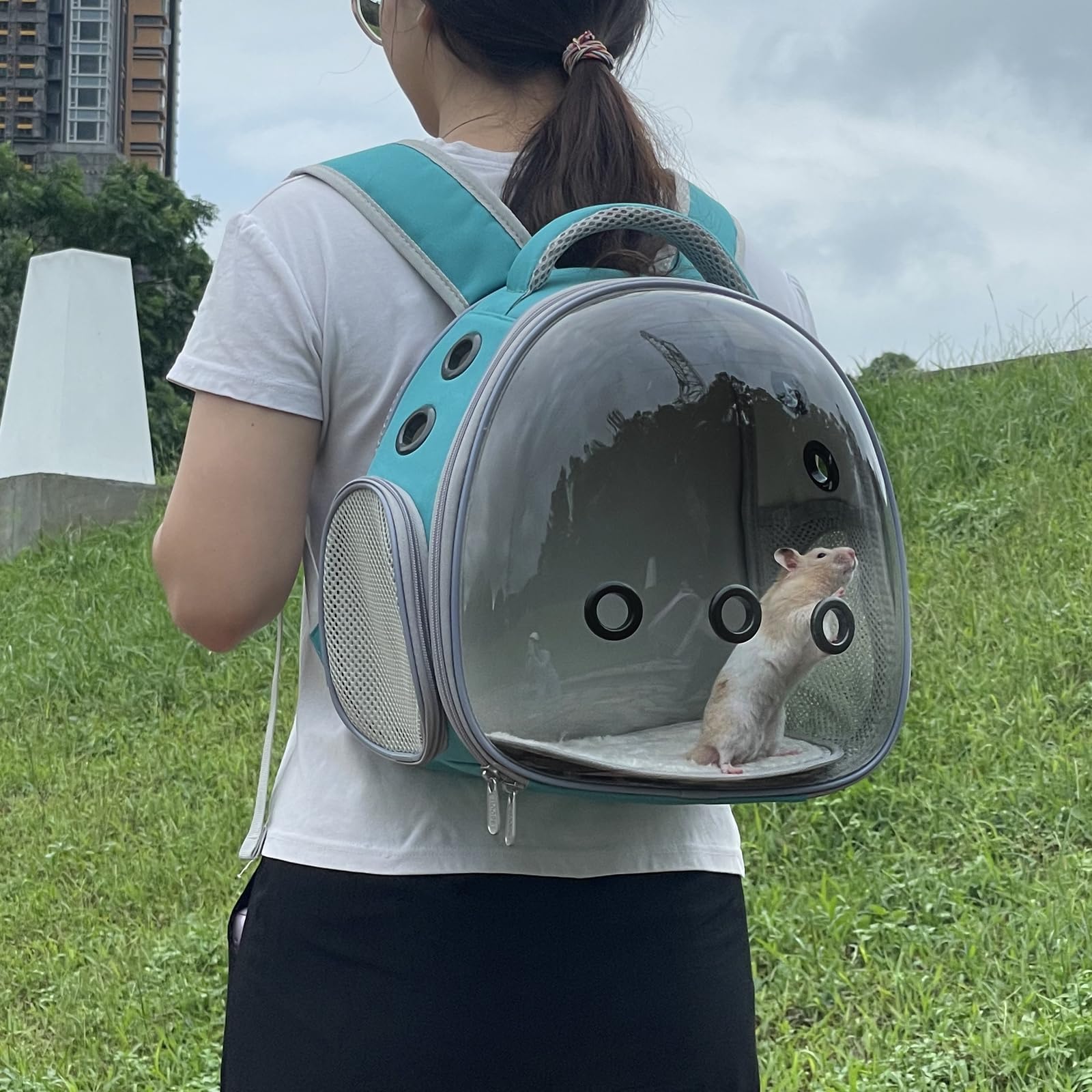 Ioview lightweight carrier is easy to carry on trips.