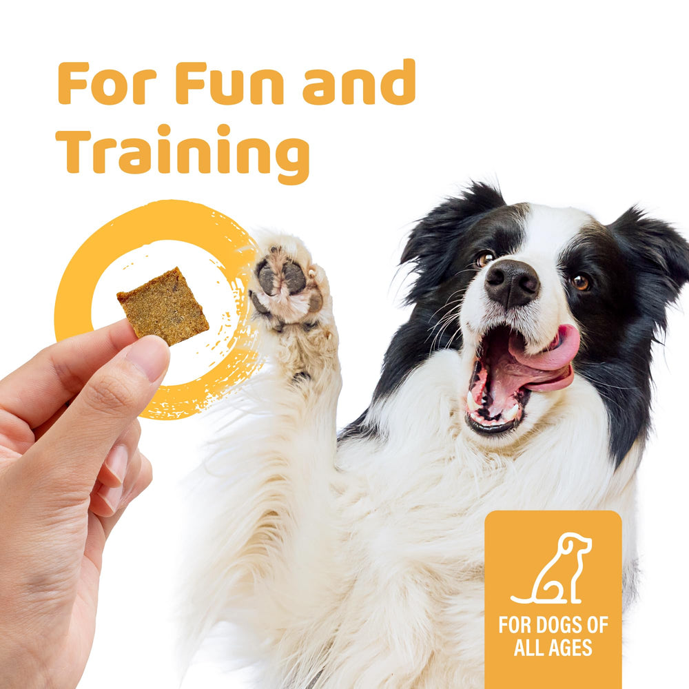iPaw high-protein formula supports active dogs daily needs