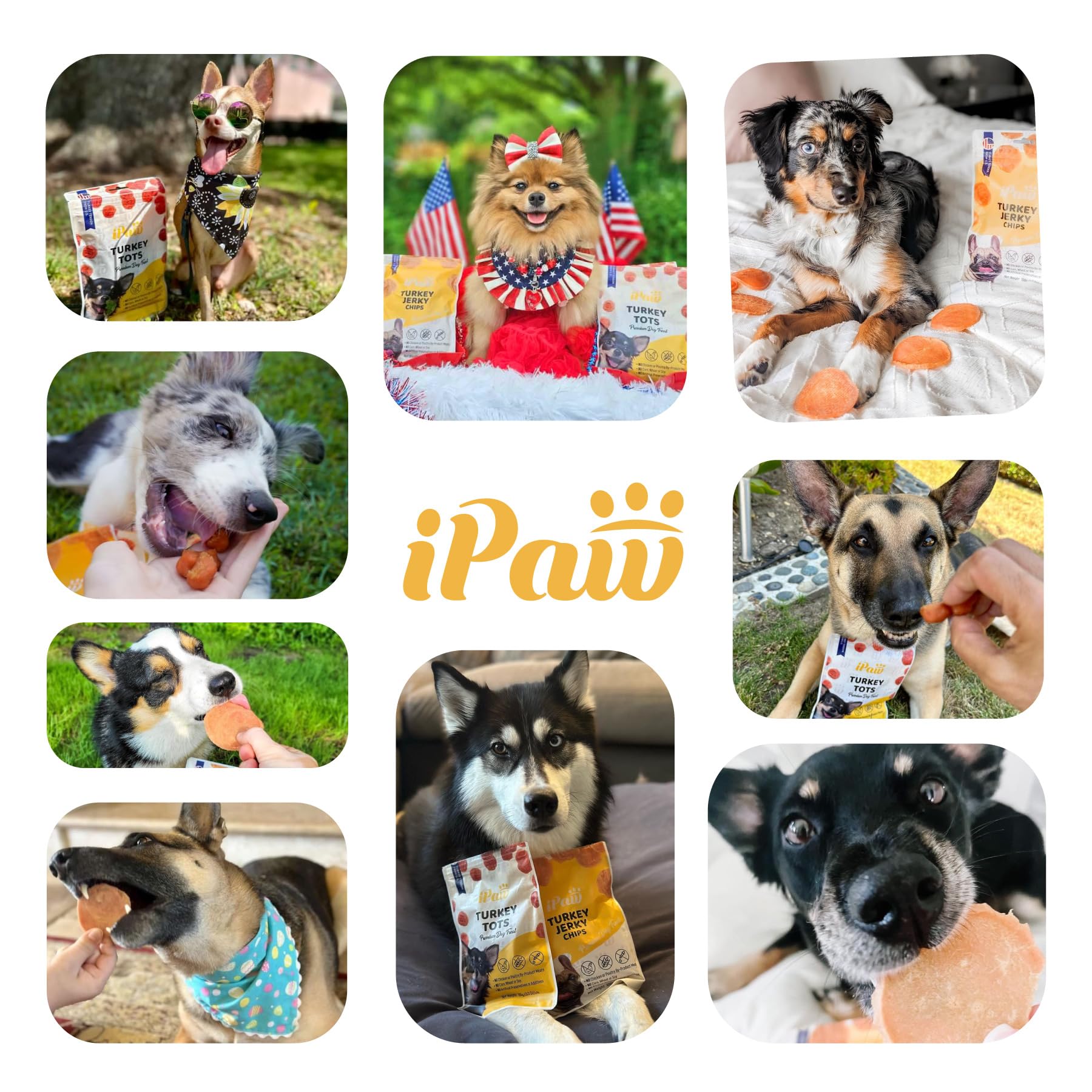 iPaw Chicken Chips suitable for all life stages across dogs.