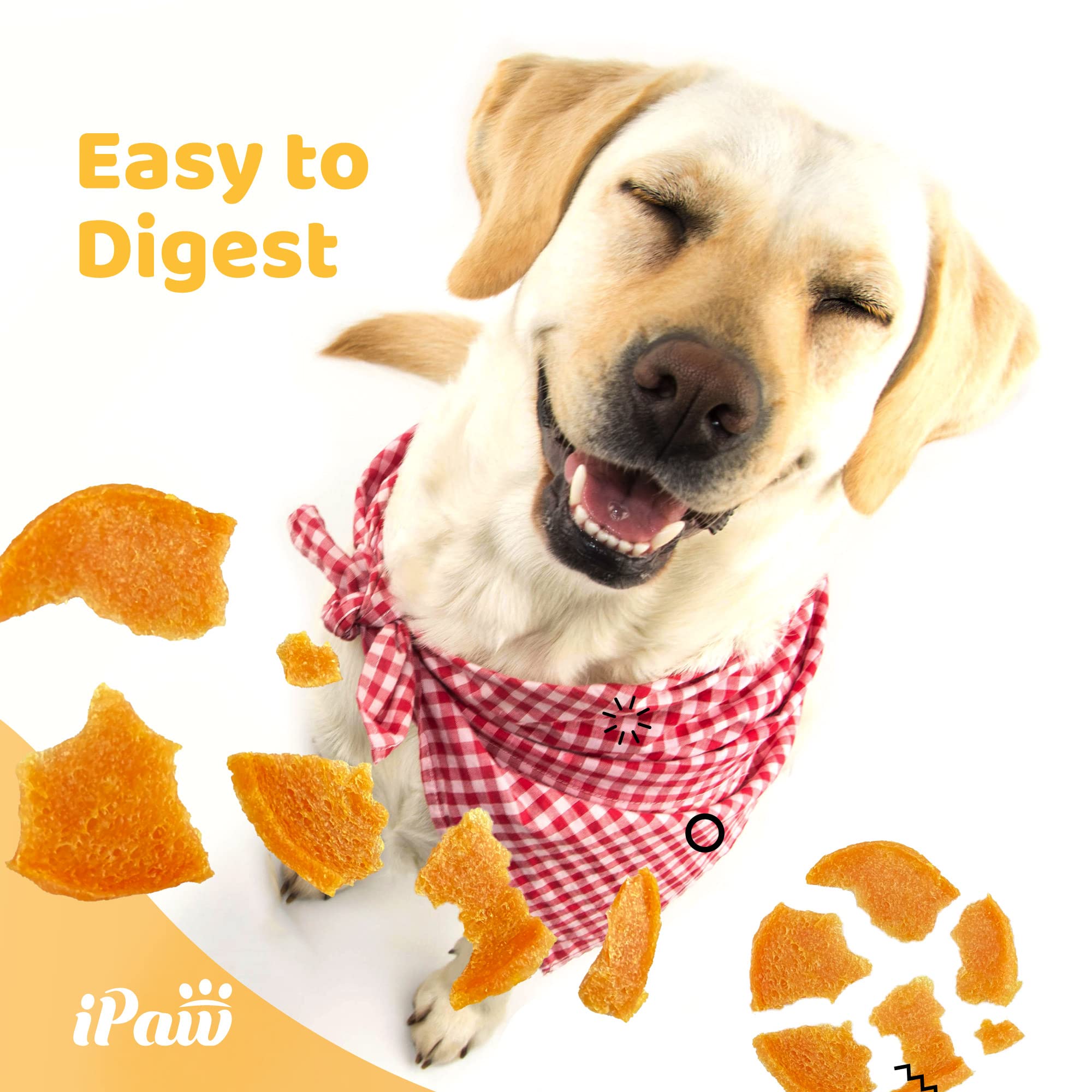 iPaw Chicken Chips close-up taste test emphasizes high palatability.