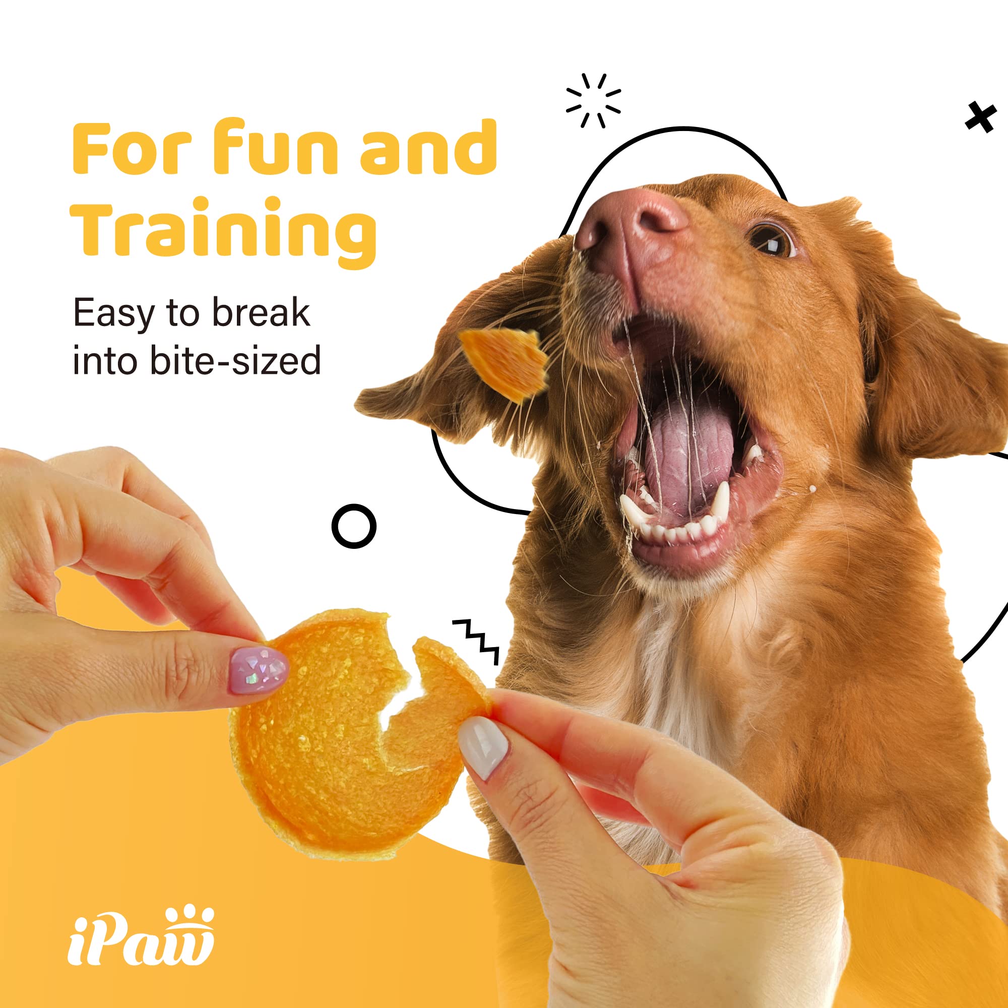 iPaw Chicken Chips training session highlights easy-to-serve bites for cues.