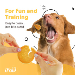 iPaw Chicken Chips training session highlights easy-to-serve bites for cues.