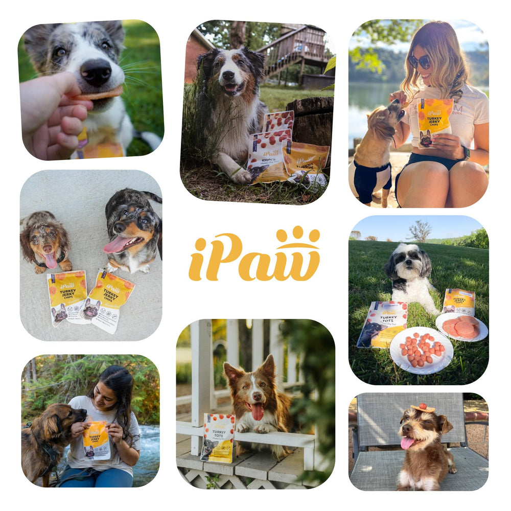 iPaw Chicken Tots bite-sized pieces make quick, adjustable rewards during practice