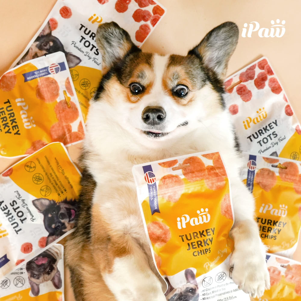 iPaw Chicken Tots slow-roasted aroma enhances engagement during learning sessions