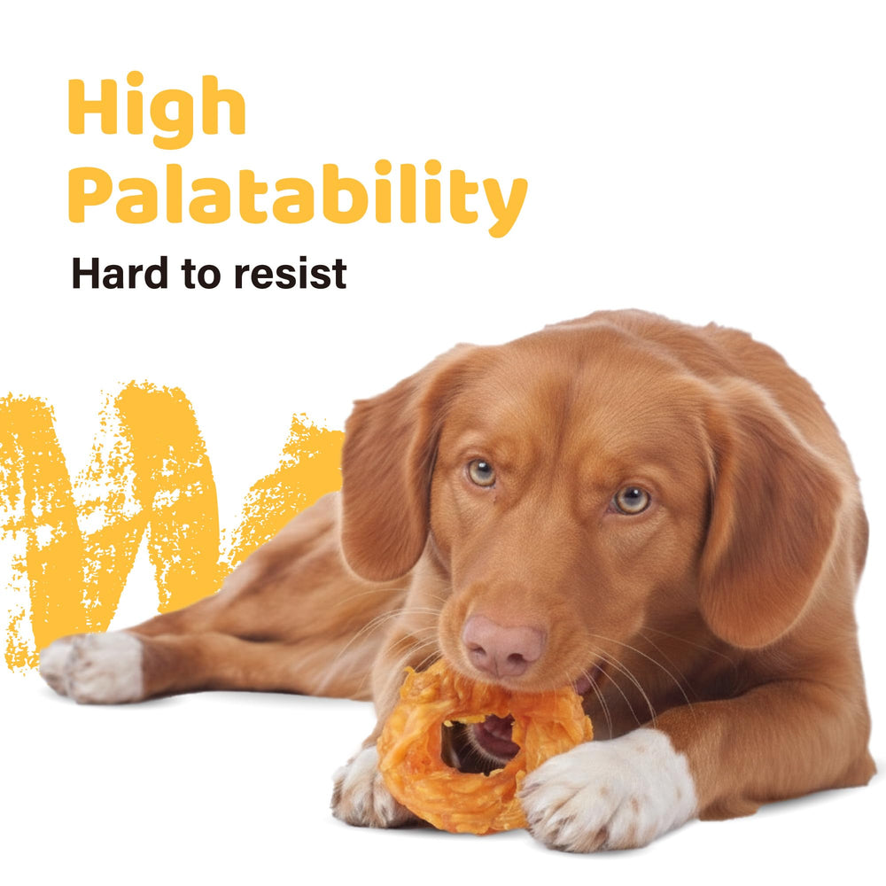 iPaw dental-benefit-turkey-tendon shows chewing support for dental care in dogs.