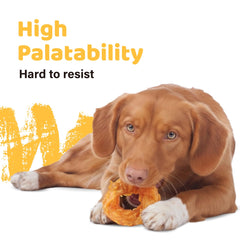 iPaw dental-benefit-turkey-tendon shows chewing support for dental care in dogs.