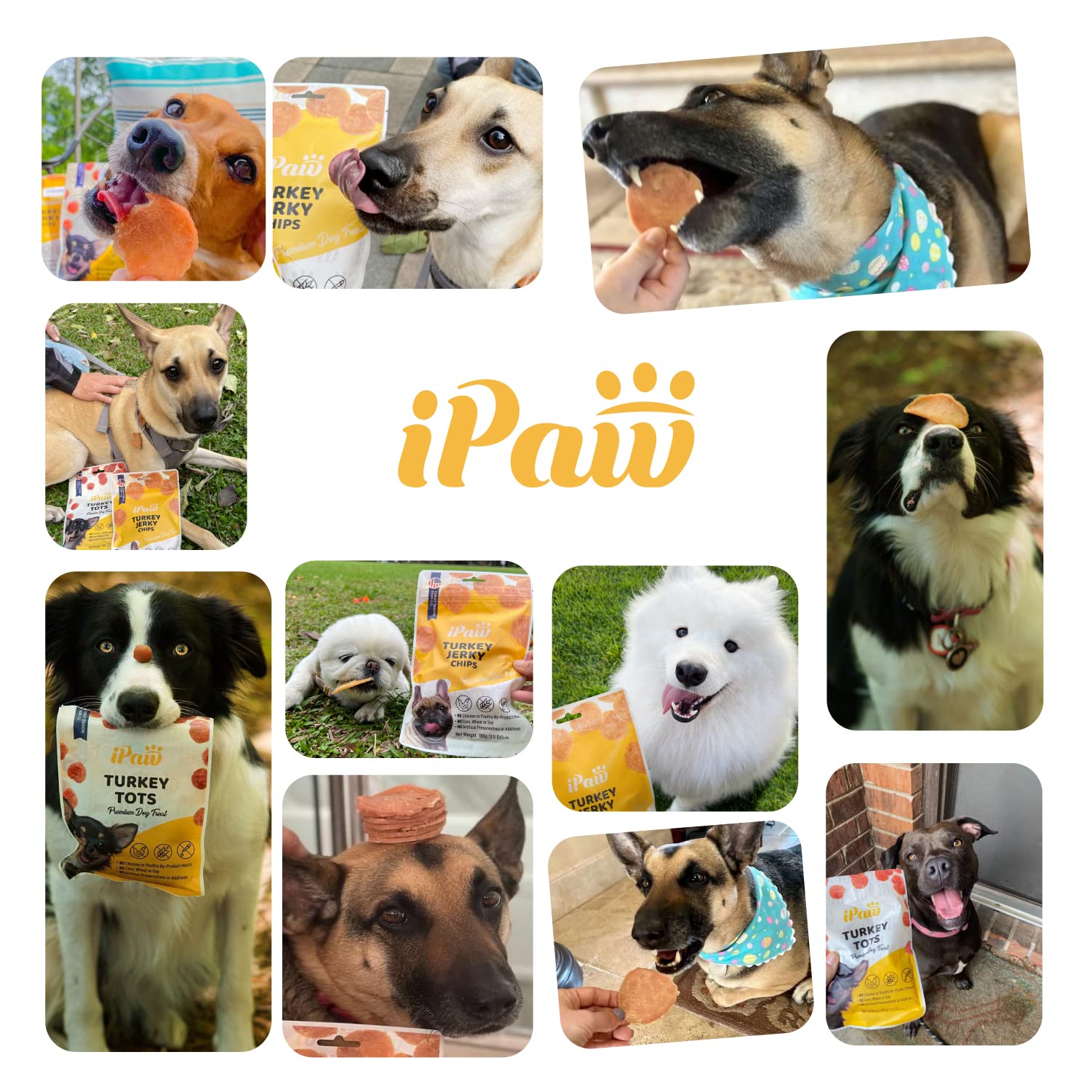 iPaw no preservatives or artificial colors supports clean ingredients