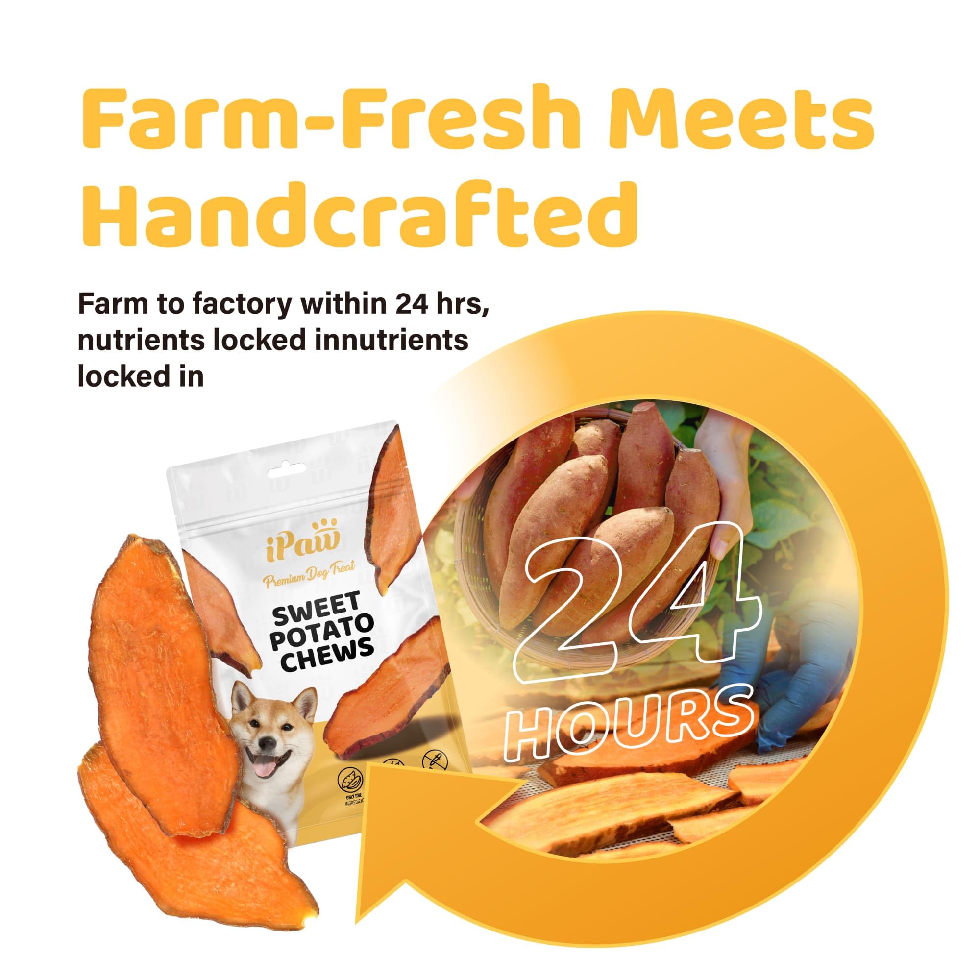 ipaw sweet potato chews featured with a dog playing, showcasing easy-digest chew