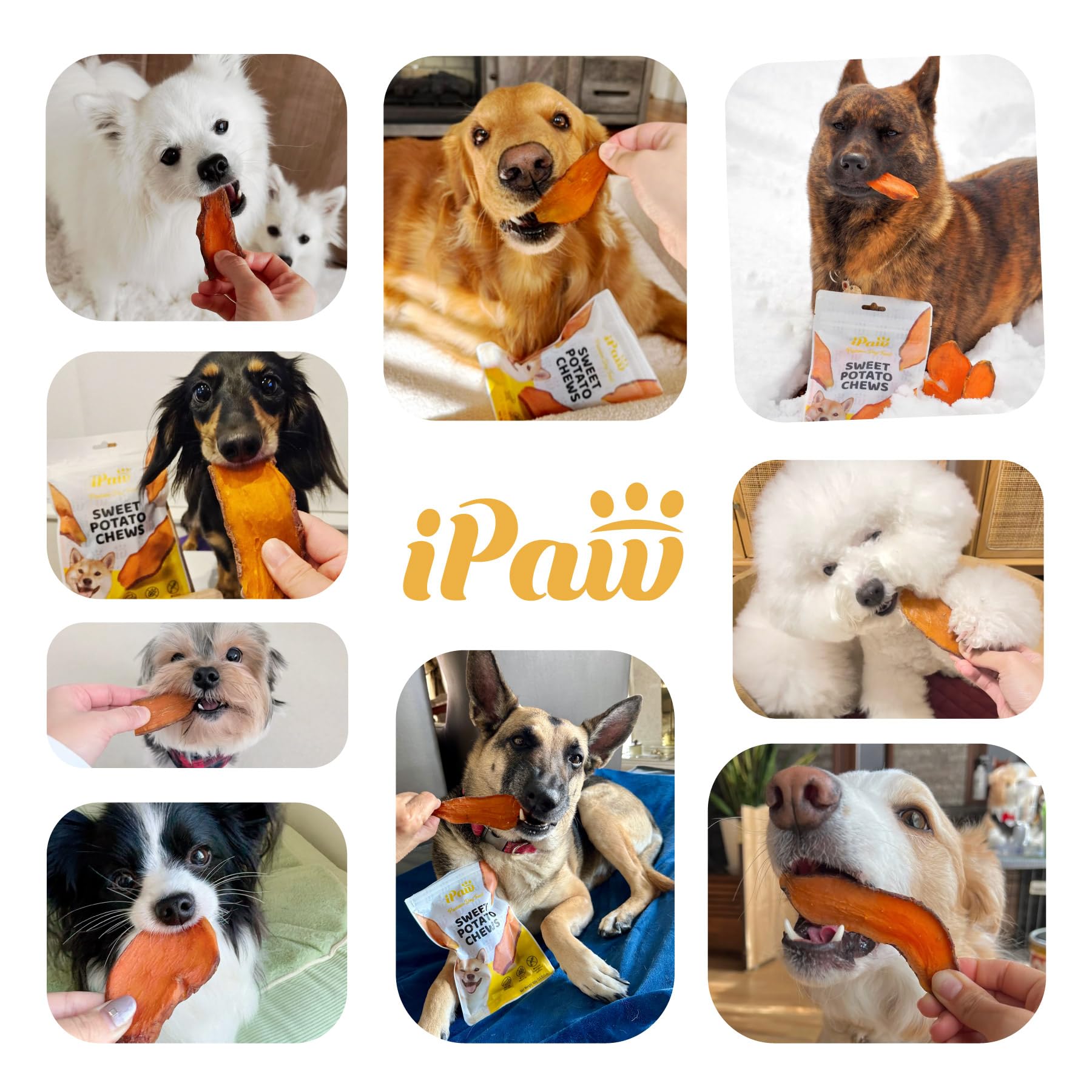 ipaw sweet potato chews on a kitchen counter with dog treats, signaling vet-friendly wellness option