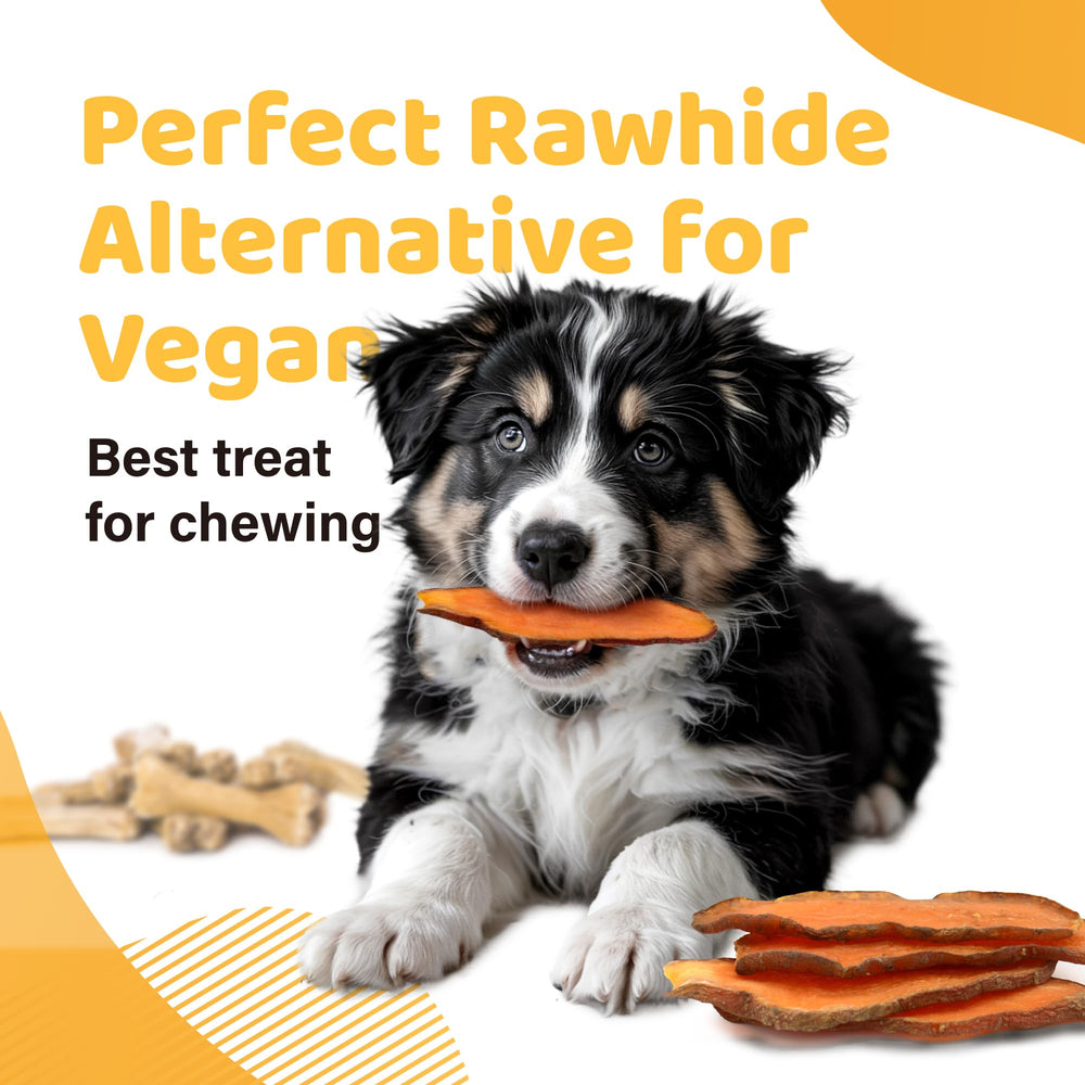 ipaw sweet potato chews offered as rawhide alternative for dogs of all ages