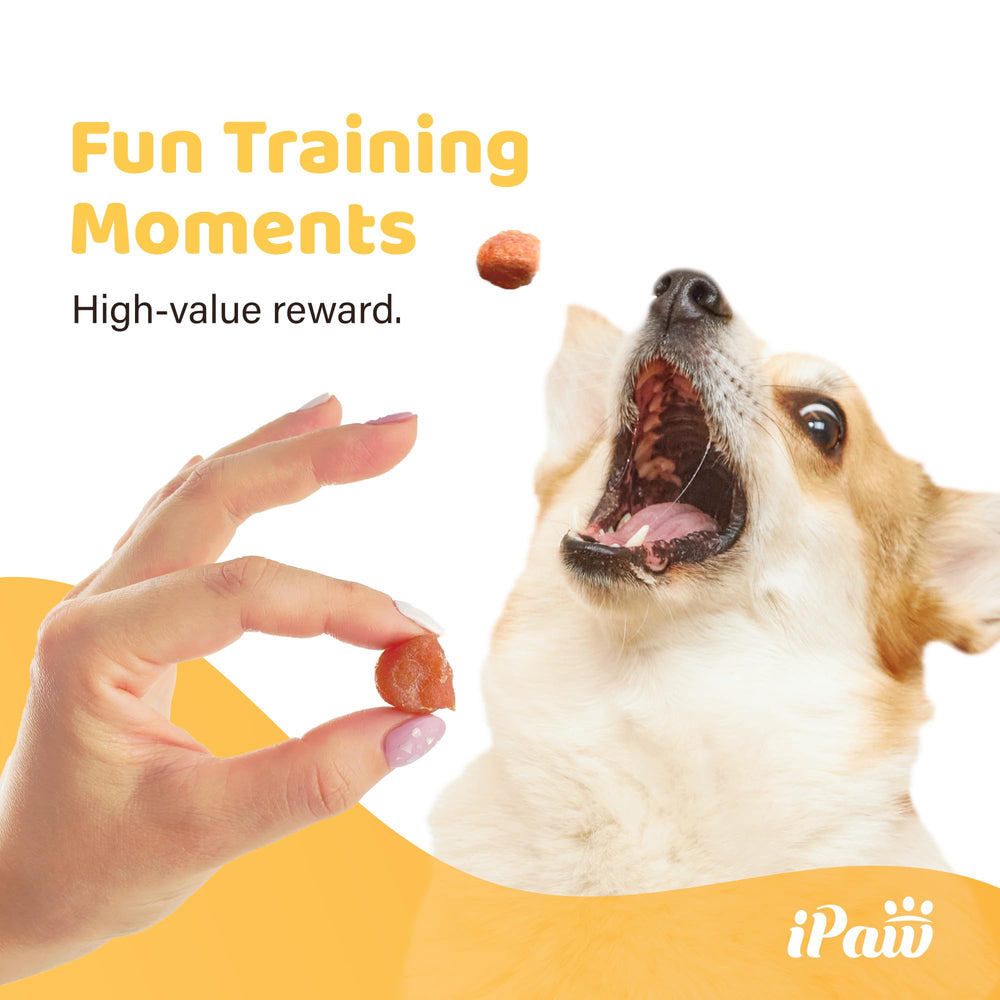 iPaw training reward dog session close-up indicates high-value incentive