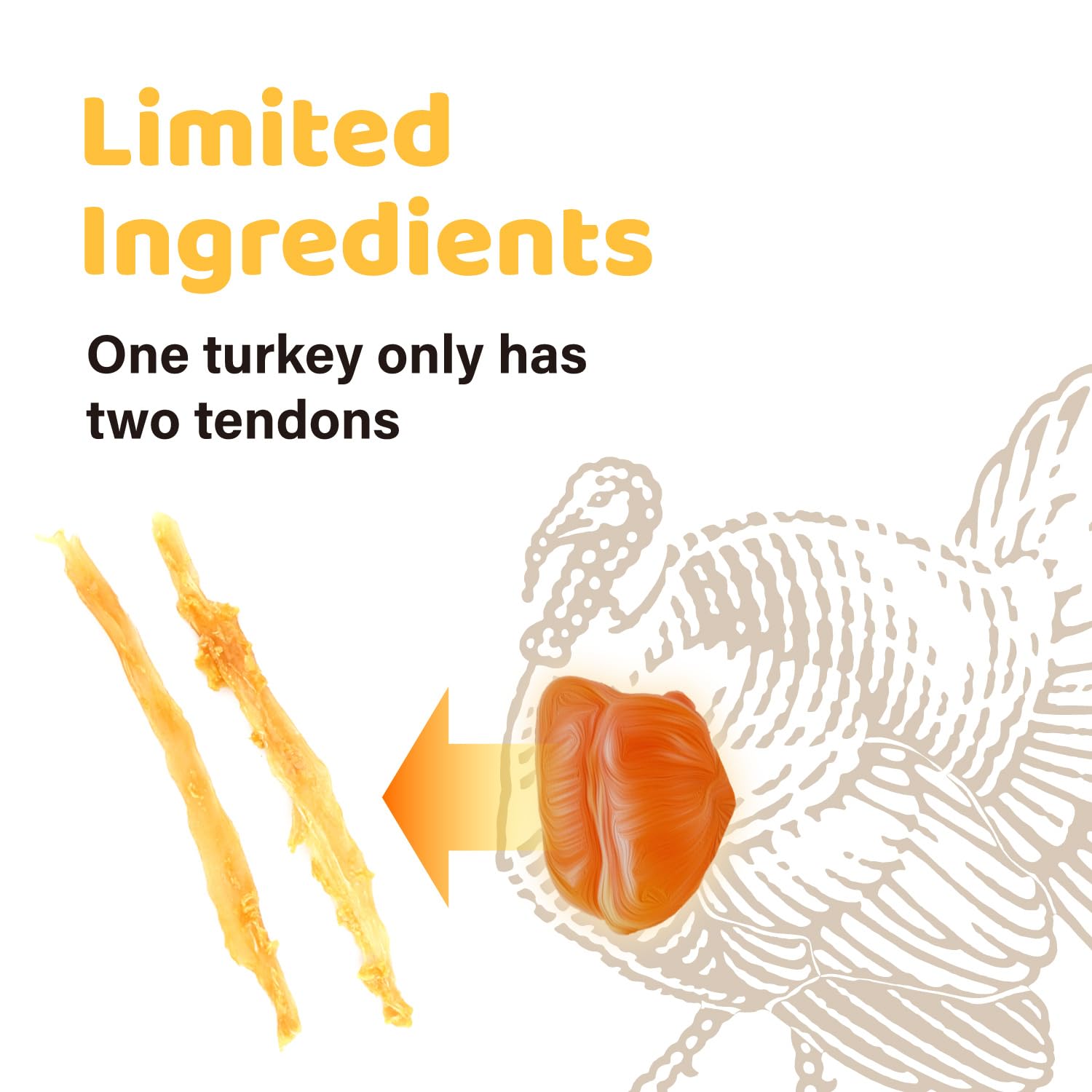 iPaw turkey tendon chew texture, firm yet digestible bite