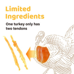 iPaw turkey tendon chew texture, firm yet digestible bite