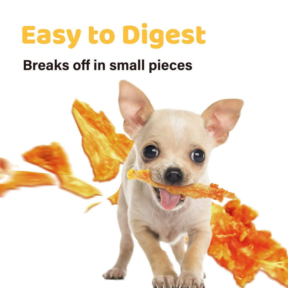 iPaw turkey tendon dog enjoying chew