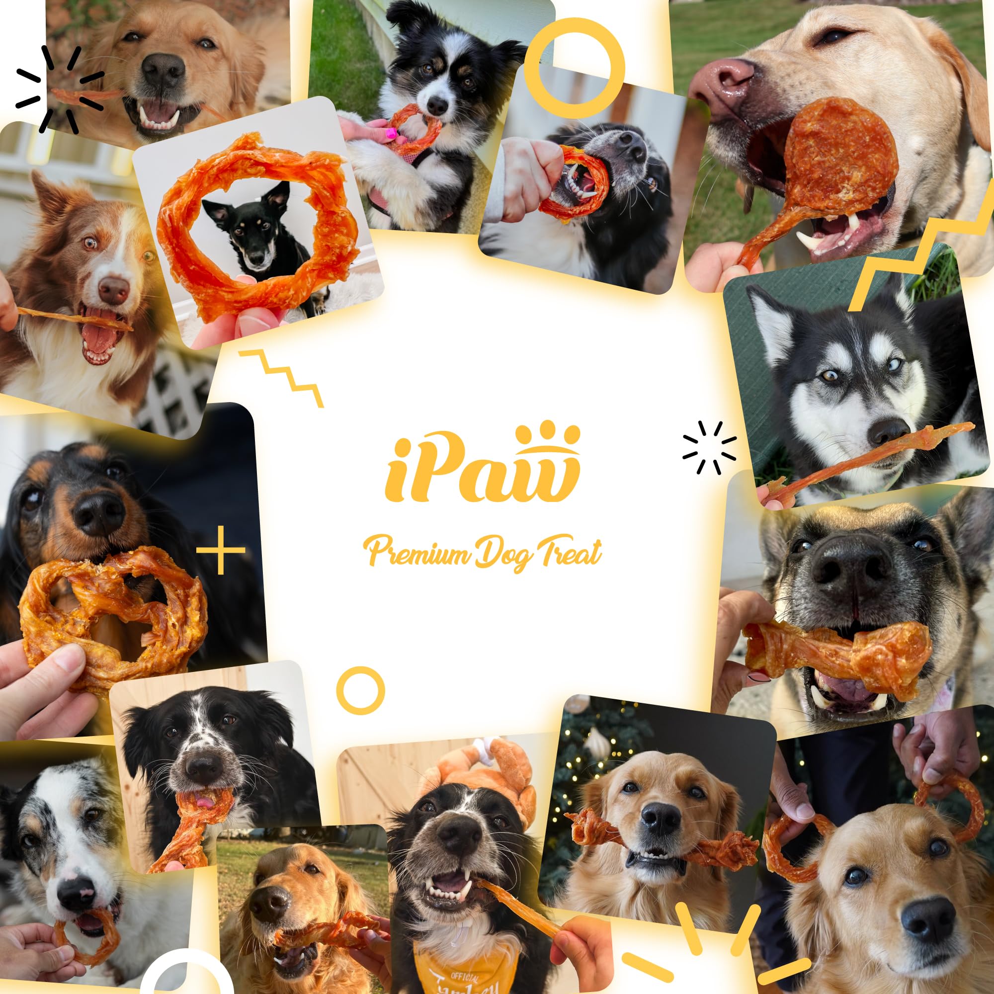 IPaw palatable aroma image suggests appeal for picky eaters during daily treats.