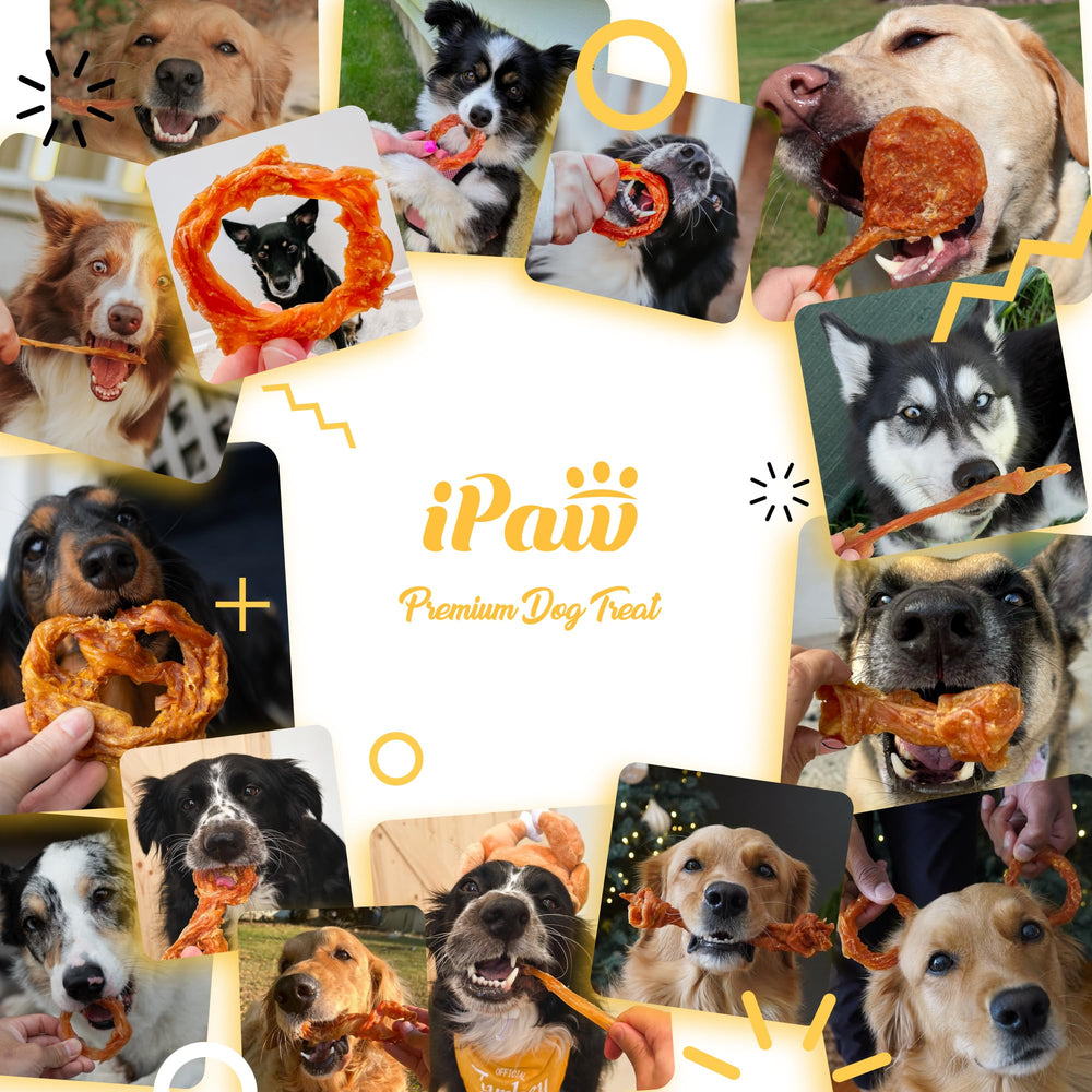 iPaw turkey tendon puppy snack made from 100% turkey tendon