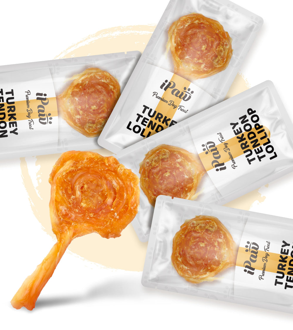 IPaw Turkey Tendon small lollipop pack shows a single-ingredient chew for dogs with sensitive stomachs.