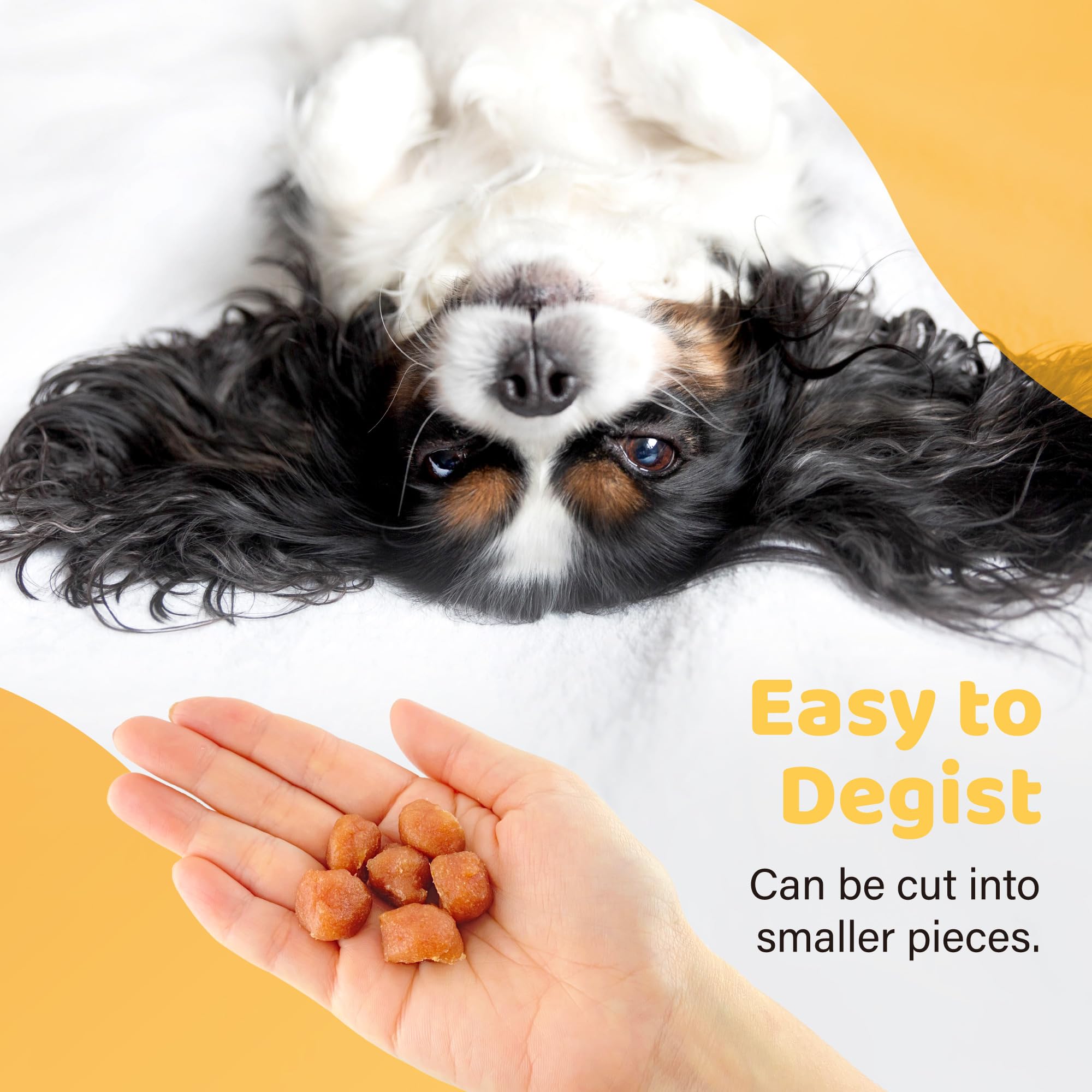 iPaw Turkey Tots compact pack demonstrates convenient all-life-stages training option.