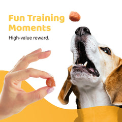 iPaw Turkey Tots ingredients highlight hypoallergenic, grain-free formula for sensitive stomachs.