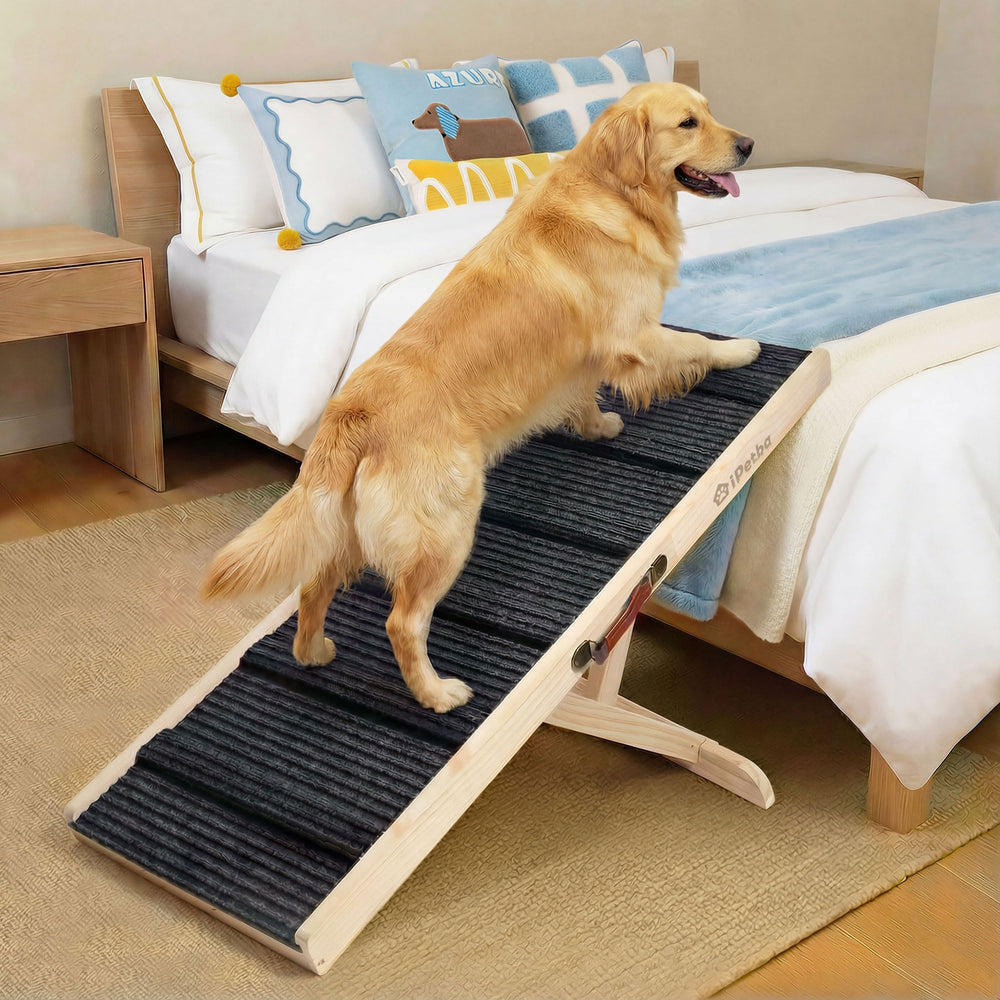 iPetba dog ramp on bed for easy access and joint-friendly climbs.