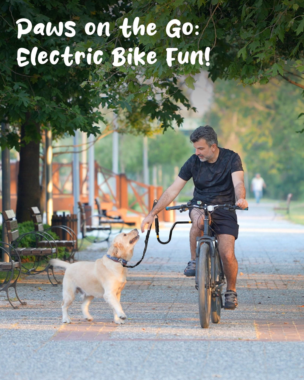 IPetba durable stainless steel body and nylon rope withstand up to 1,000 lbs.