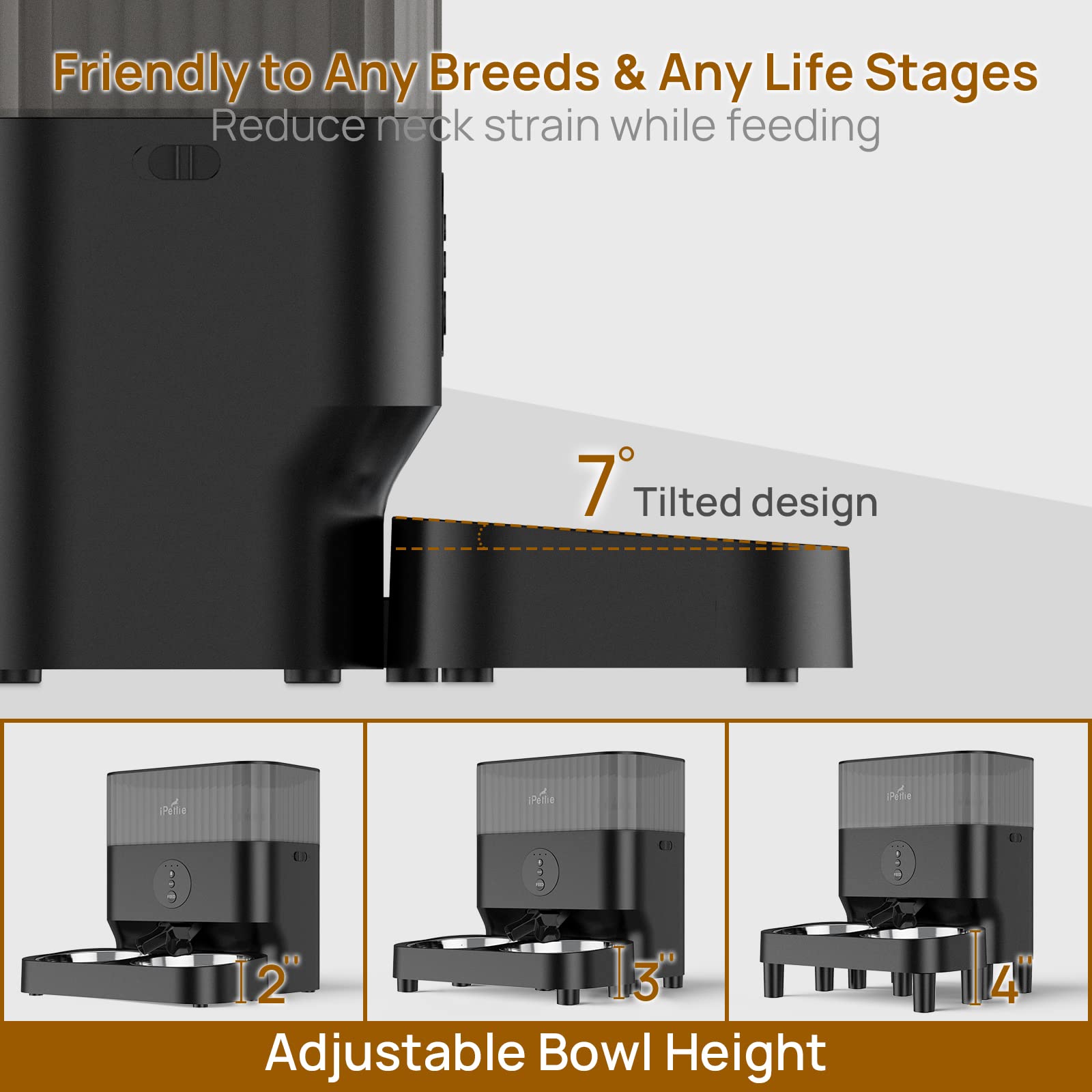ipettie app control with 2.4ghz wifi enables remote feeding.