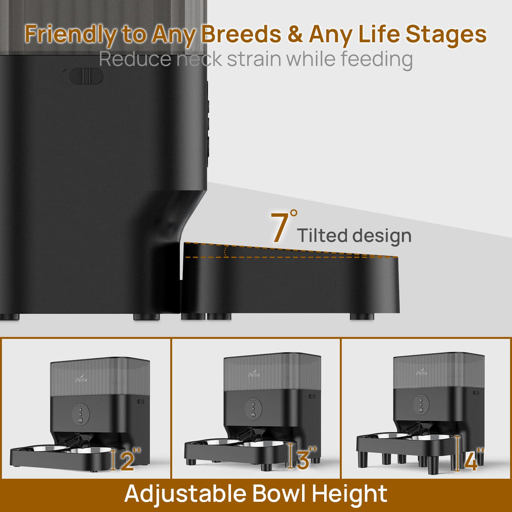 ipettie app control with 2.4ghz wifi enables remote feeding.